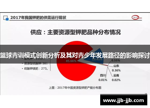 篮球青训模式创新分析及其对青少年发展路径的影响探讨