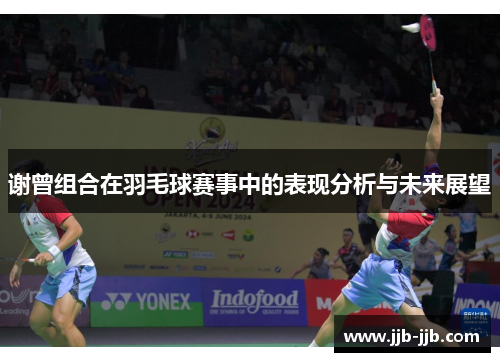 谢曾组合在羽毛球赛事中的表现分析与未来展望