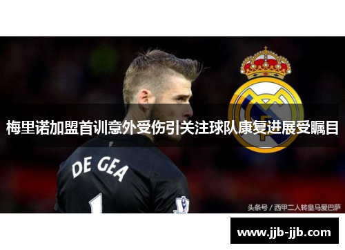 梅里诺加盟首训意外受伤引关注球队康复进展受瞩目