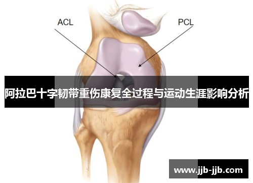 阿拉巴十字韧带重伤康复全过程与运动生涯影响分析