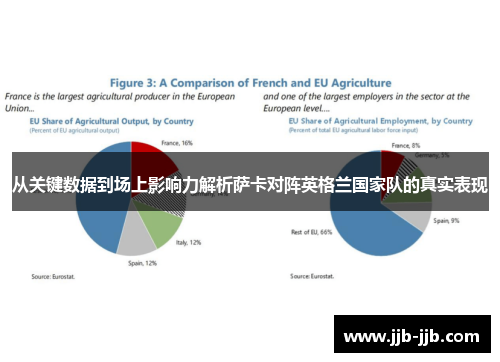 从关键数据到场上影响力解析萨卡对阵英格兰国家队的真实表现