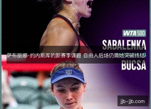萨布丽娜·约内斯库的新赛季课题 自由人后场仍需她突破终结 萨布丽娜·约内斯库的新赛季课题 自由人后场仍需她突破终结